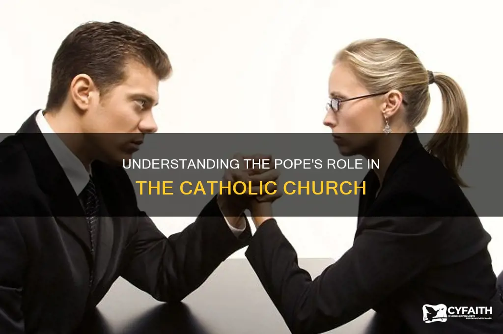 what is the role of the catholic pope