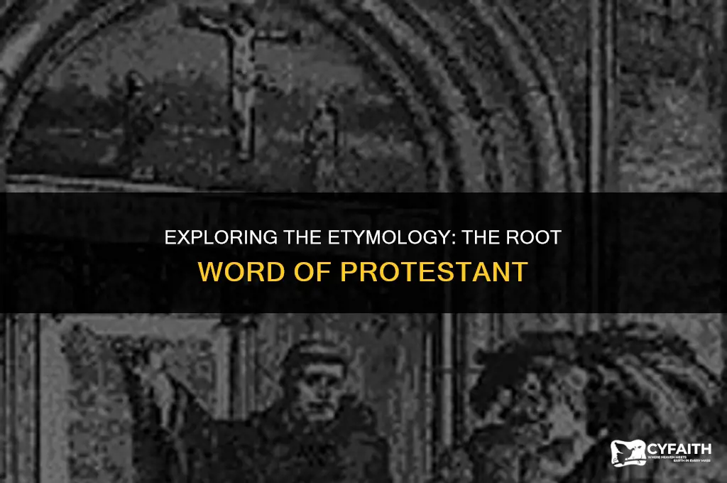 what is the root word of protestant