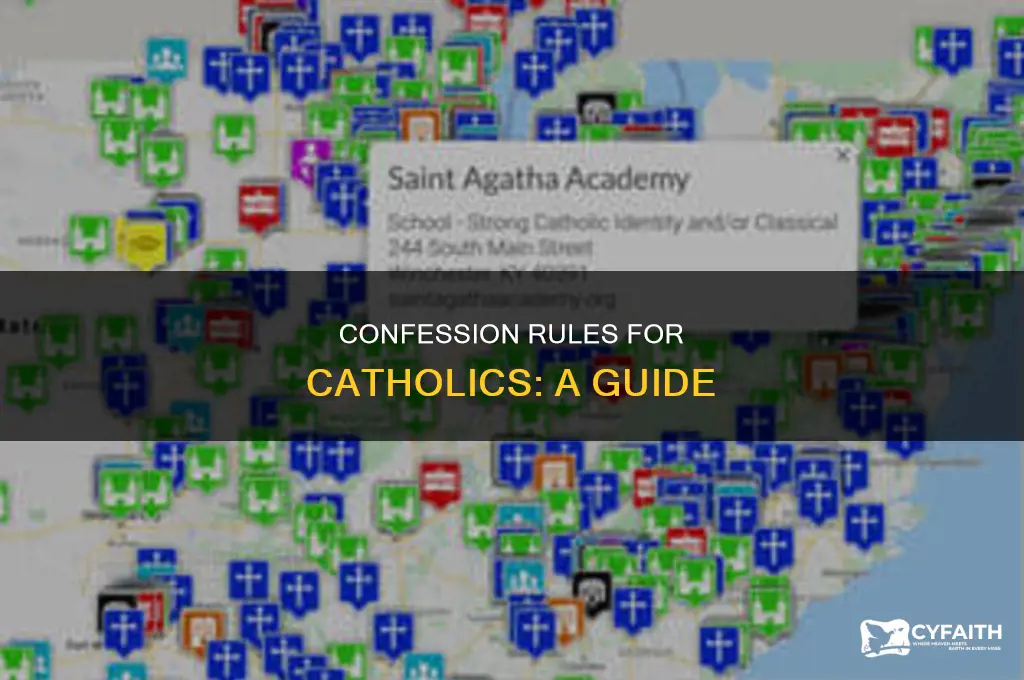 what is the rule for catholic in confession