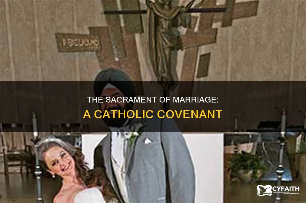 what is the sacrament of marriage catholic