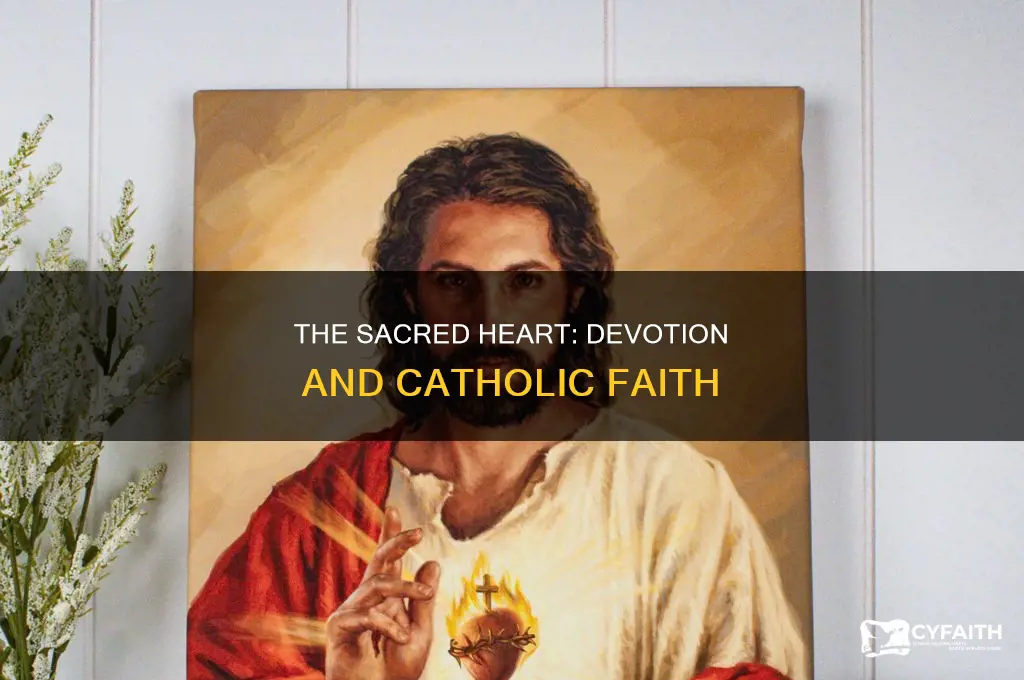 what is the sacred heart of jesus catholic