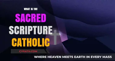 The Sacred Scripture: A Catholic Guide