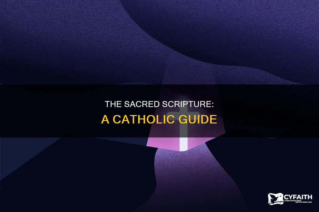 what is the sacred scripture catholic