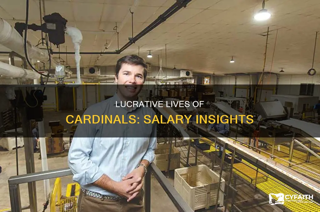 what is the salary of a catholic cardinal