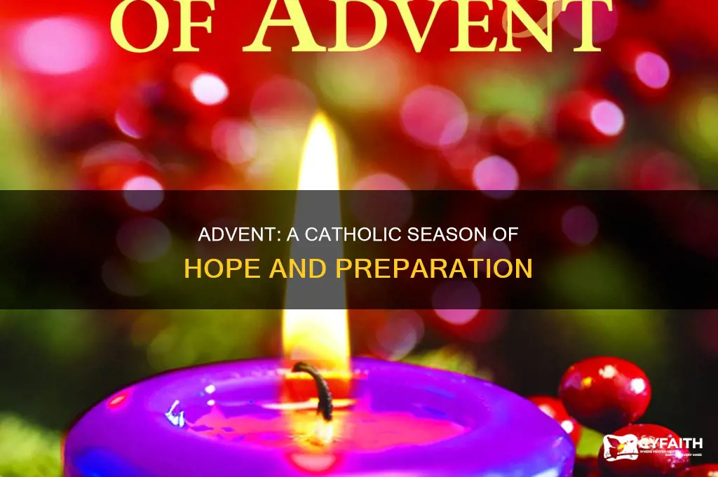 what is the season of advent about catholic