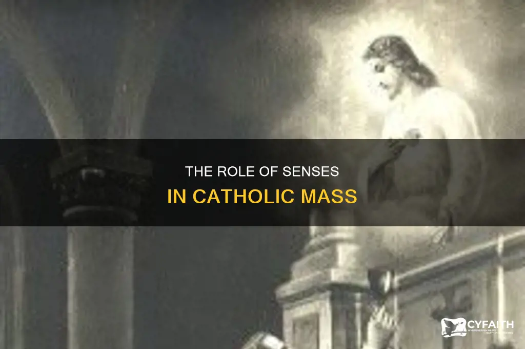 what is the sensor used in catholic services