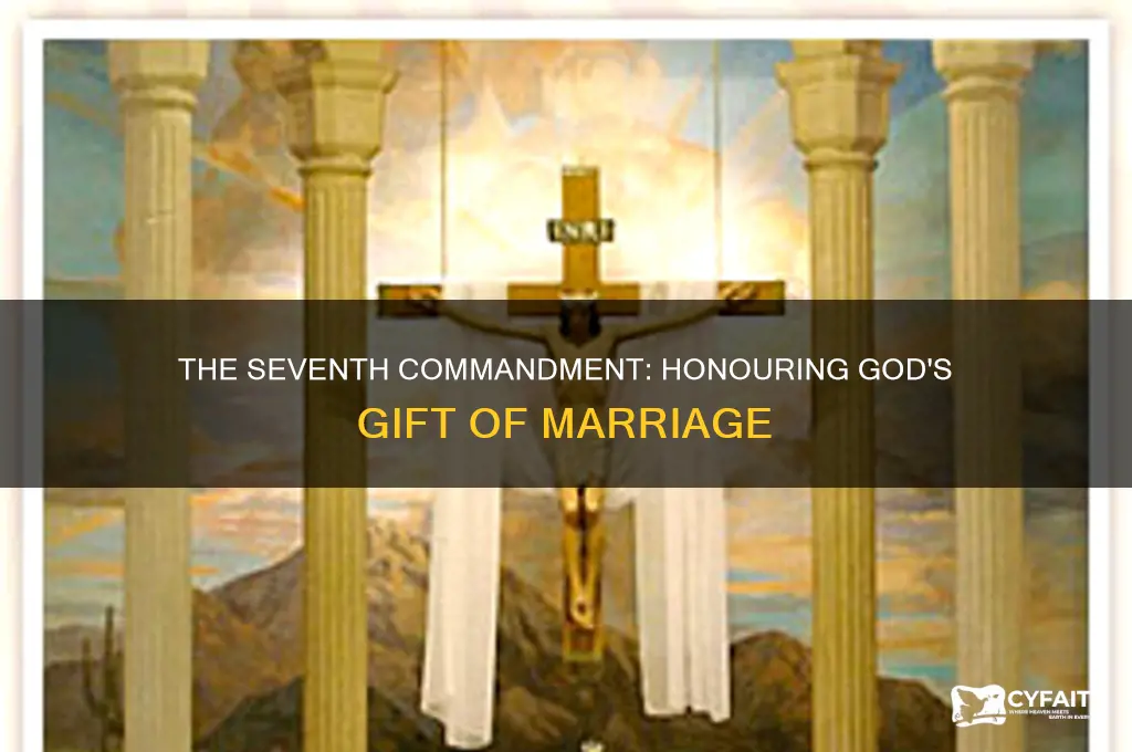 what is the seventh catholic commandment