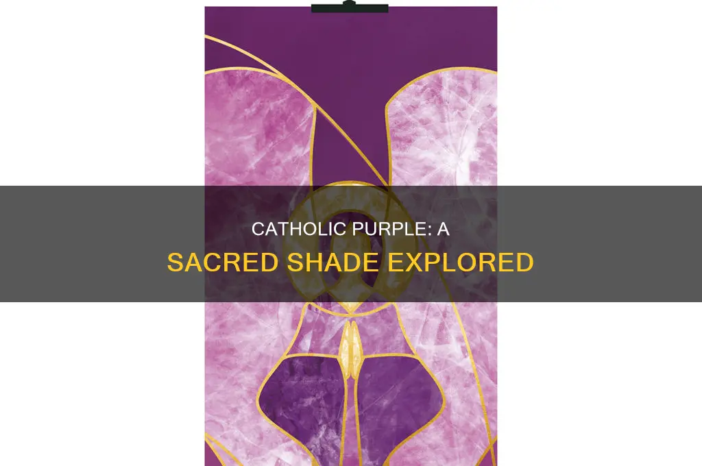 what is the shade of catholic purple