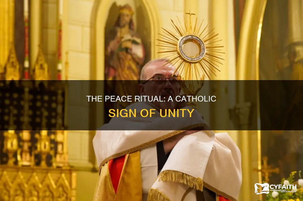 what is the sign of peace catholic