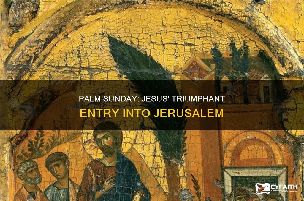 what is the significance of palm sunday catholic