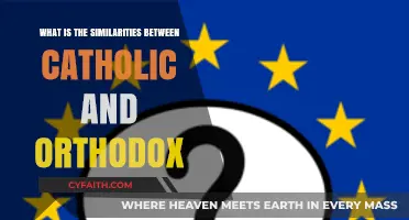 Catholic-Orthodox: Similarities in Faith and Practice