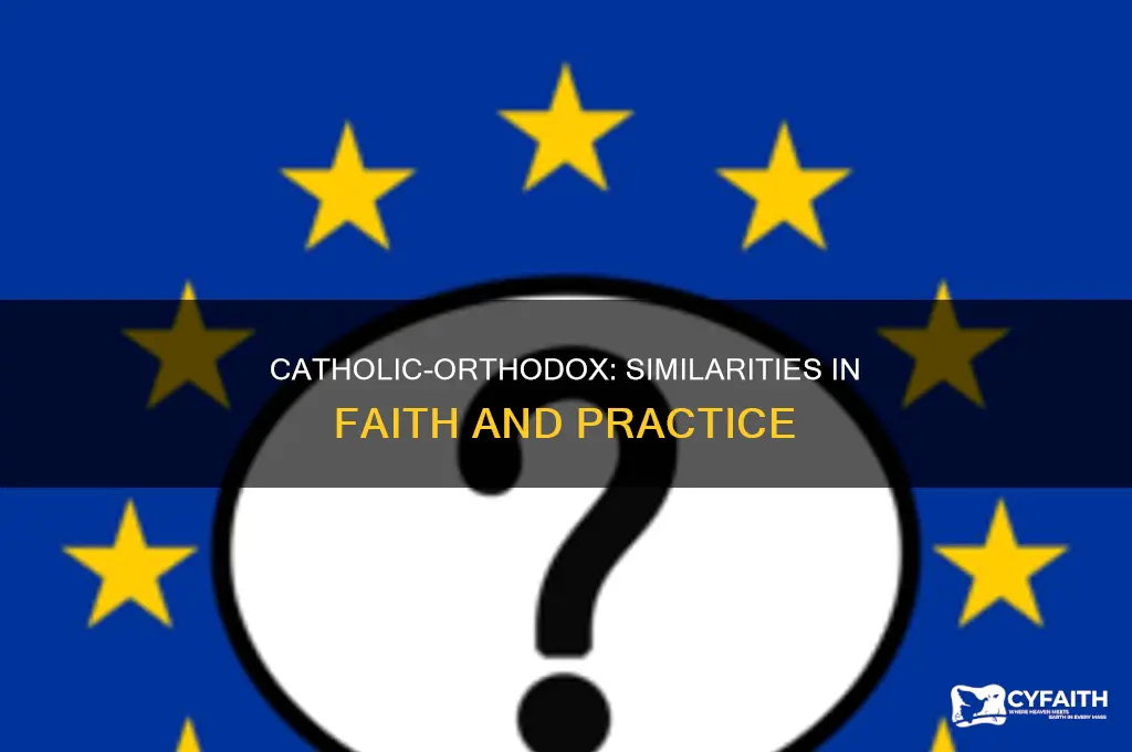 what is the similarities between catholic and orthodox