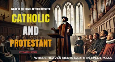 Exploring Common Ground: Catholic and Protestant Similarities