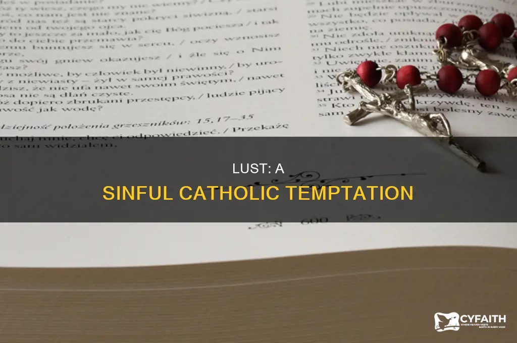 what is the sin of lust catholic