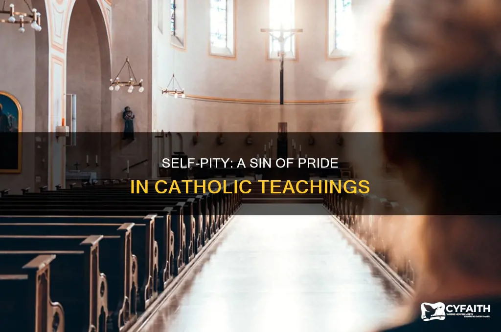 what is the sin of self pity catholic