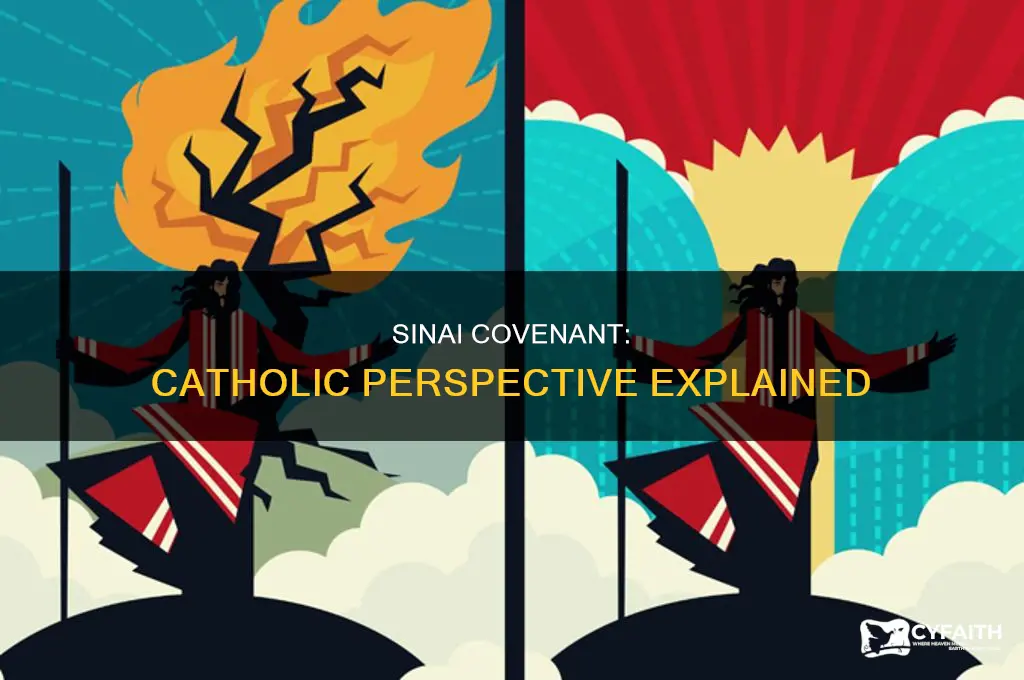 what is the sinai covenant catholic