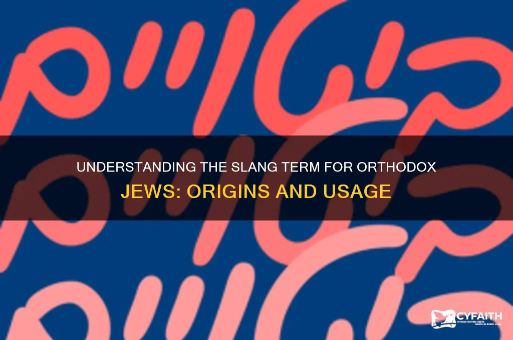 what is the slang term for an orthodox jew