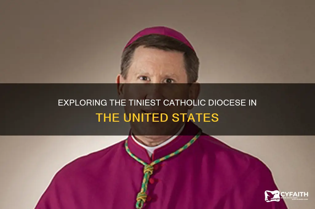 what is the smallest catholic diocese in the us