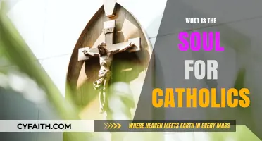 The Catholic Soul: A Guide to Understanding