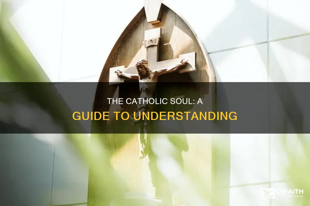 what is the soul for catholics