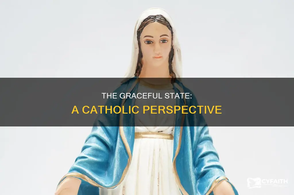 what is the state of grace catholic