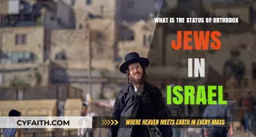 Orthodox Jews in Israel: Identity, Influence, and Societal Standing