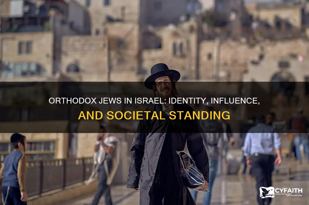 what is the status of orthodox jews in israel
