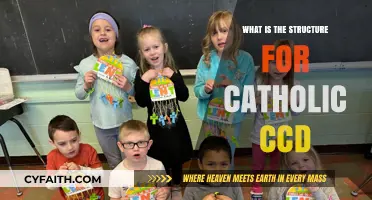 CCD Classes: Catholic Education Structure