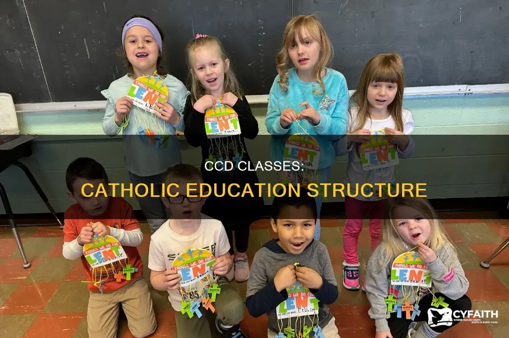 what is the structure for catholic ccd