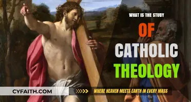 Exploring Catholic Theology: A Study Guide