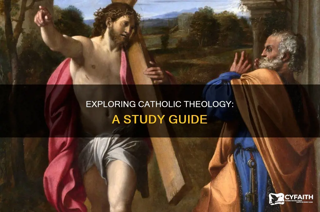 what is the study of catholic theology