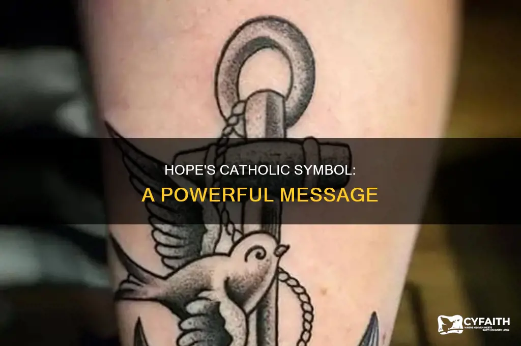 what is the symbol of hope catholic