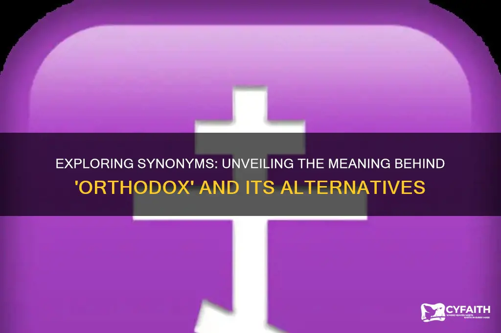 what is the synonym of orthodox