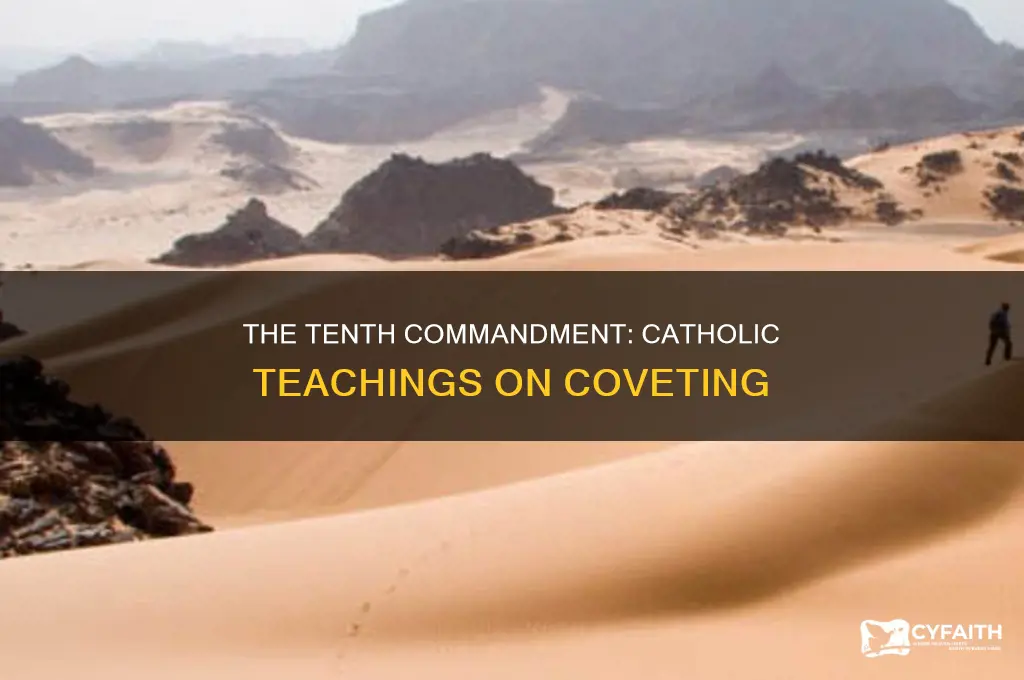 what is the tenth commandment catholic