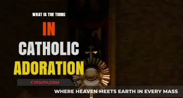 Understanding Catholic Adoration and Its Significance