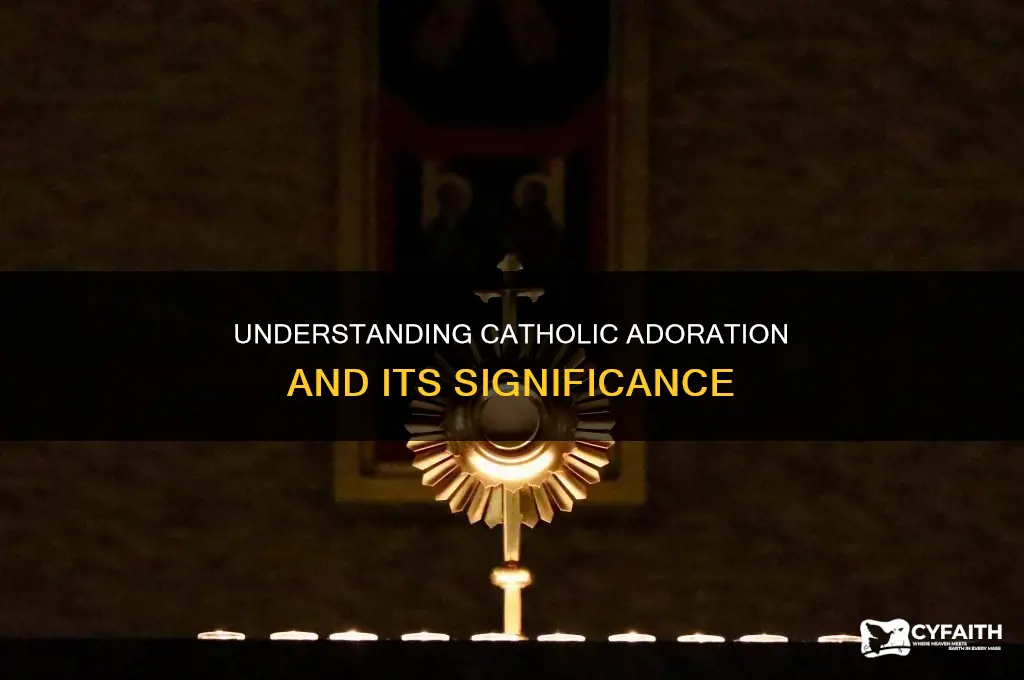 what is the thing in catholic adoration