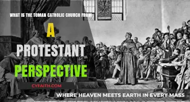 Understanding the Roman Catholic Church: A Protestant's View