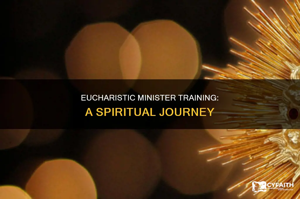what is the training for catholic eucharistic minister