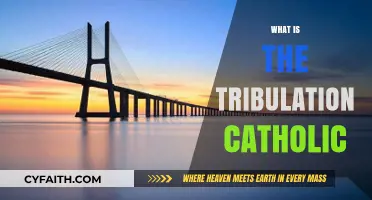 Understanding the Catholic Perspective on the Tribulation: A Comprehensive Guide