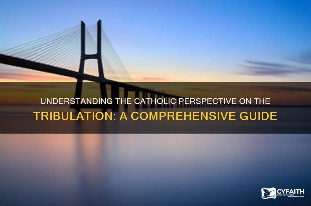 what is the tribulation catholic