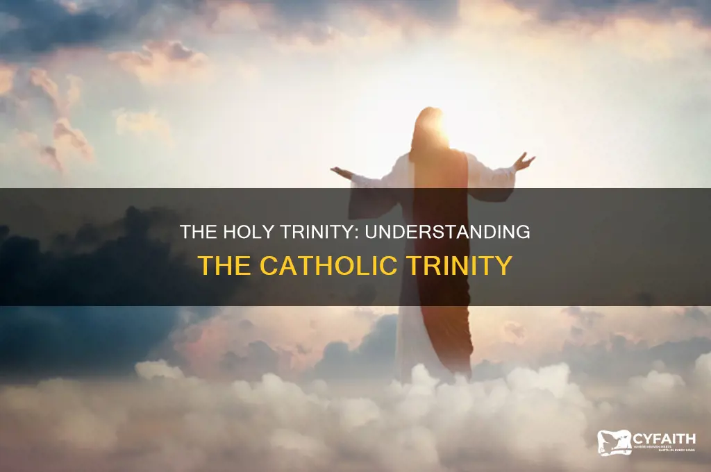 what is the trinity catholic answer