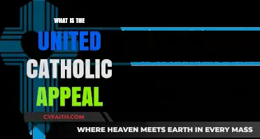United Catholic Appeal: How It Works and Why It Matters