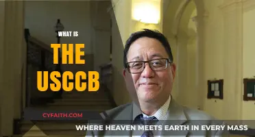 Understanding the USCCB: Role, Mission, and Impact on American Catholics
