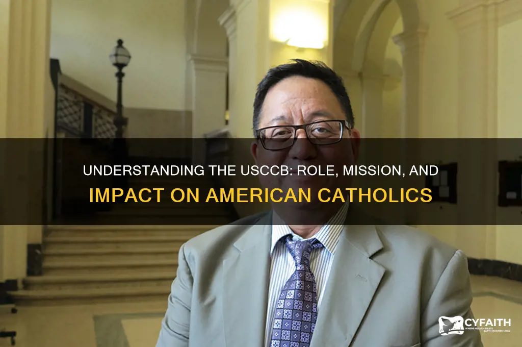 what is the usccb