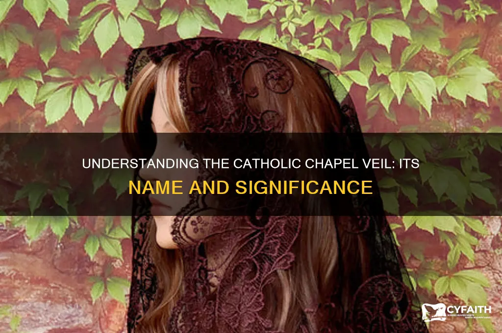 what is the veil called that catholic women wear