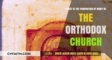 The Orthodox Church's Deep Veneration of Mary Explained
