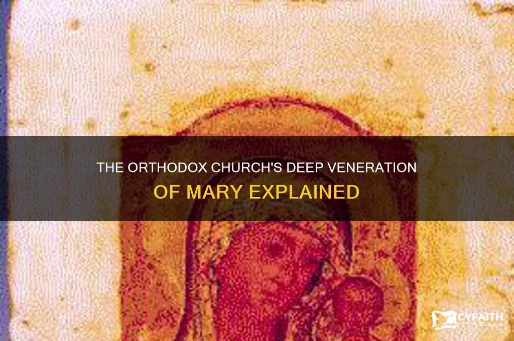 what is the veneration of mary in the orthodox church