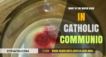 The Sacred Wafer: Understanding Communion in Catholicism