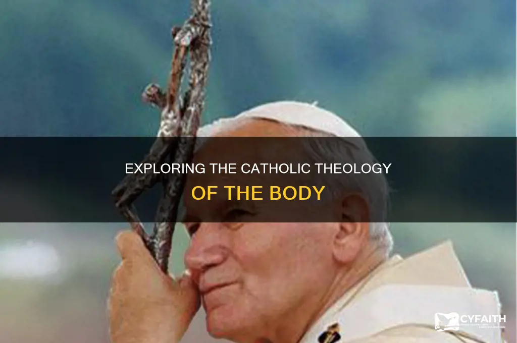 what is theology of the body catholic