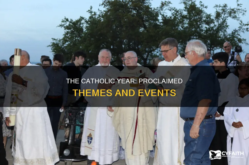 what is this catholic year proclaimed